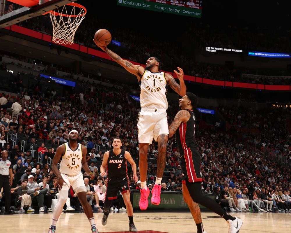 东家夺冠 东家夺冠