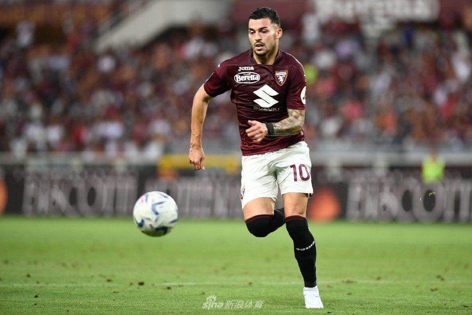 许多中国体 许多中国体